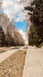 A tranquil garden path lined with tall trees, dormant but budding, flanking a narrow watercourse. The sky is bright blue with a few scattered clouds, and sparse early spring flowers dot the soil along the path.