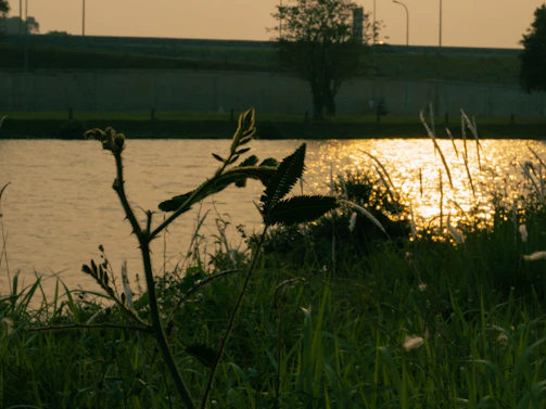 A peaceful riverside scene in France during sunset, with soft golden light reflecting on the water.