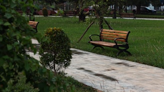 a park bench sitting in the middle of a park