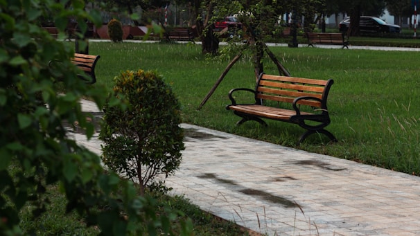 a park bench sitting in the middle of a park