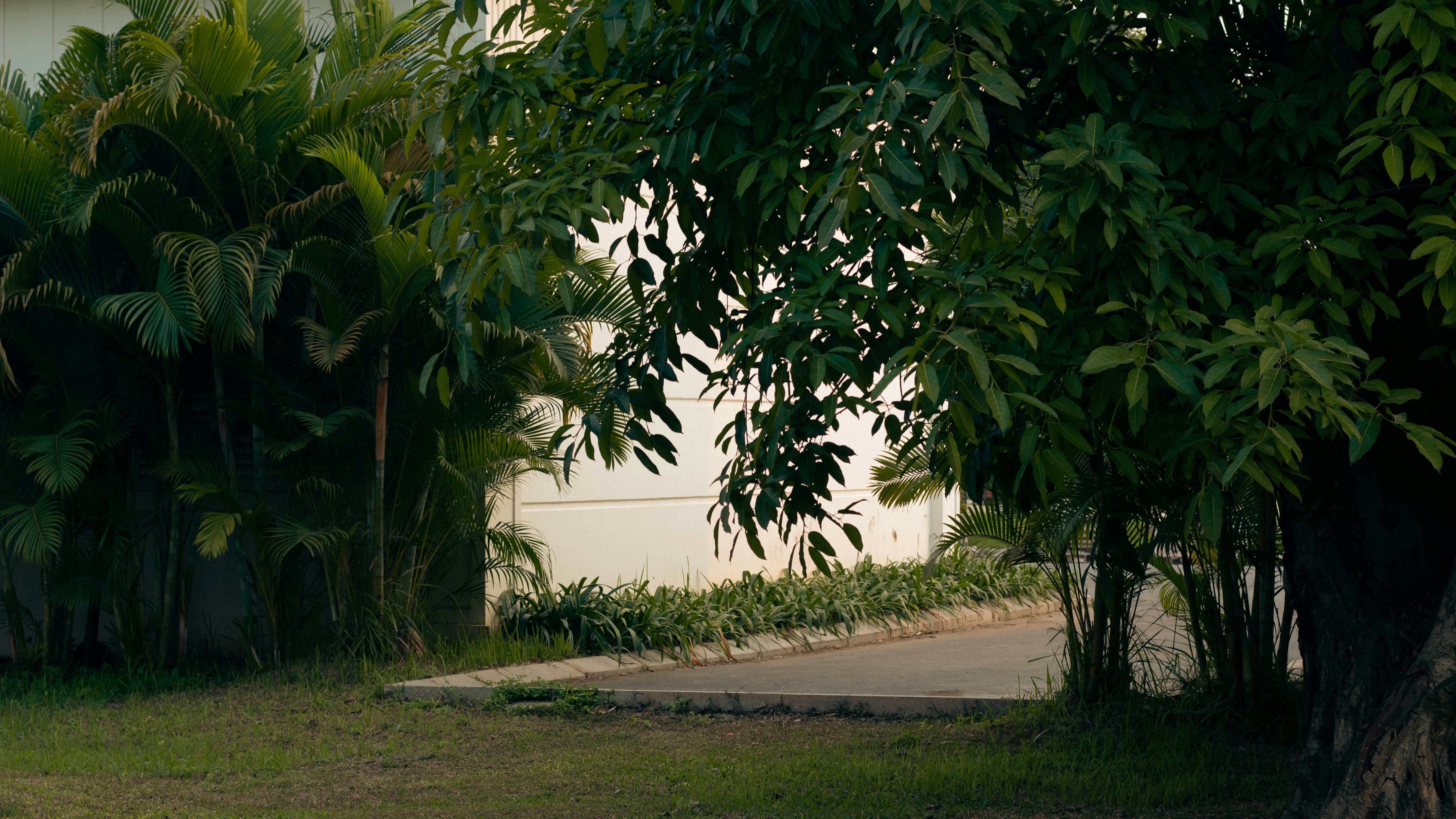 Photo by maivophucthanh