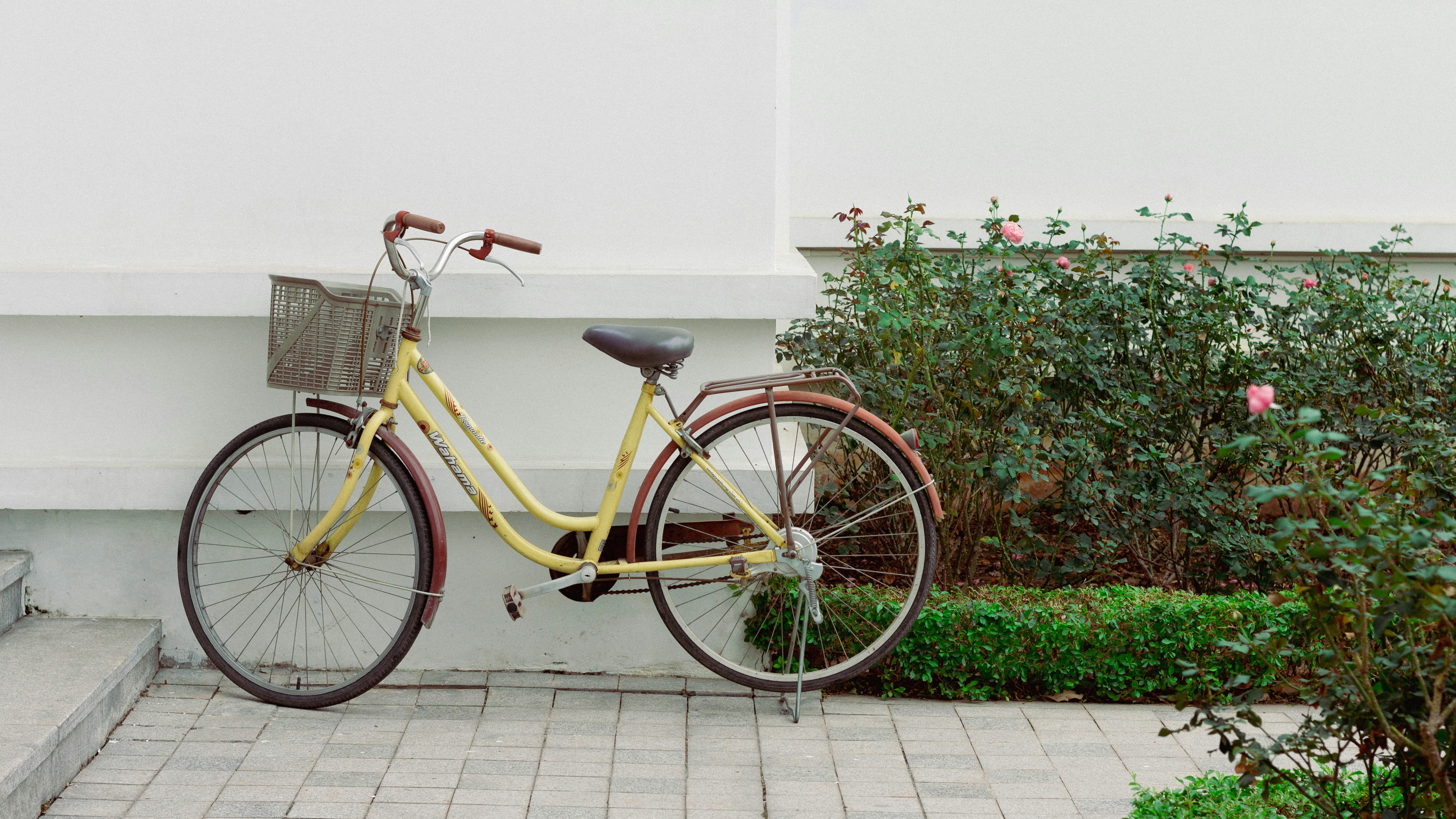 Photo by maivophucthanh