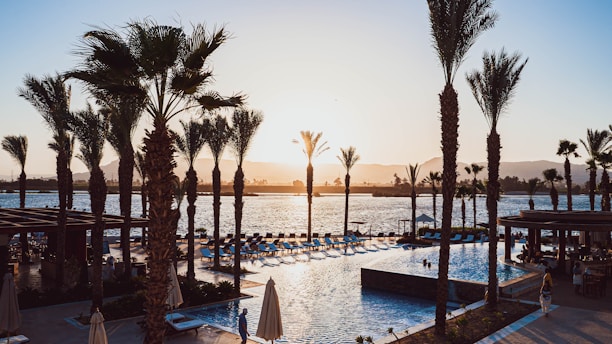 A stunning sunset view over a luxurious hotel pool with palm trees gently swaying.
