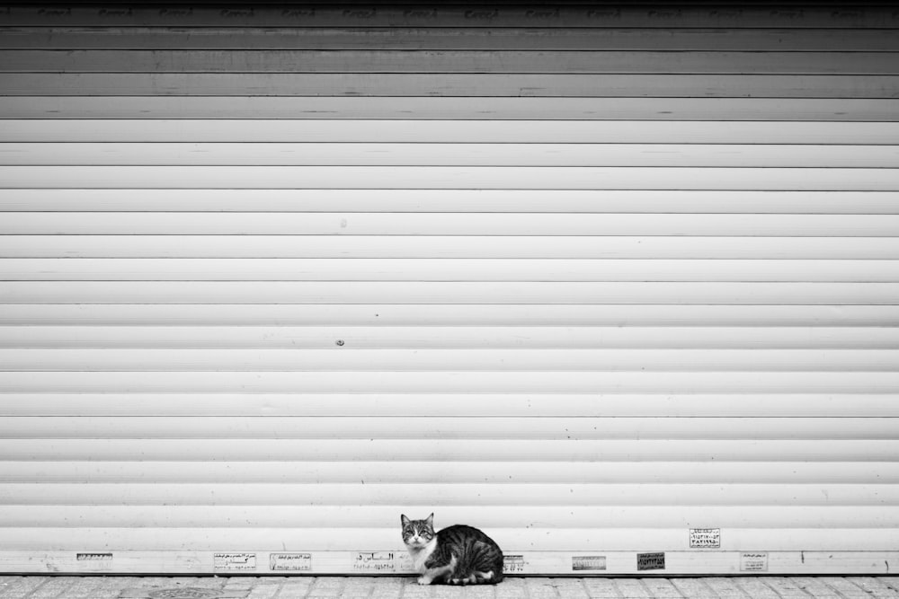 a black and white photo of a cat sitting in front of a garage door