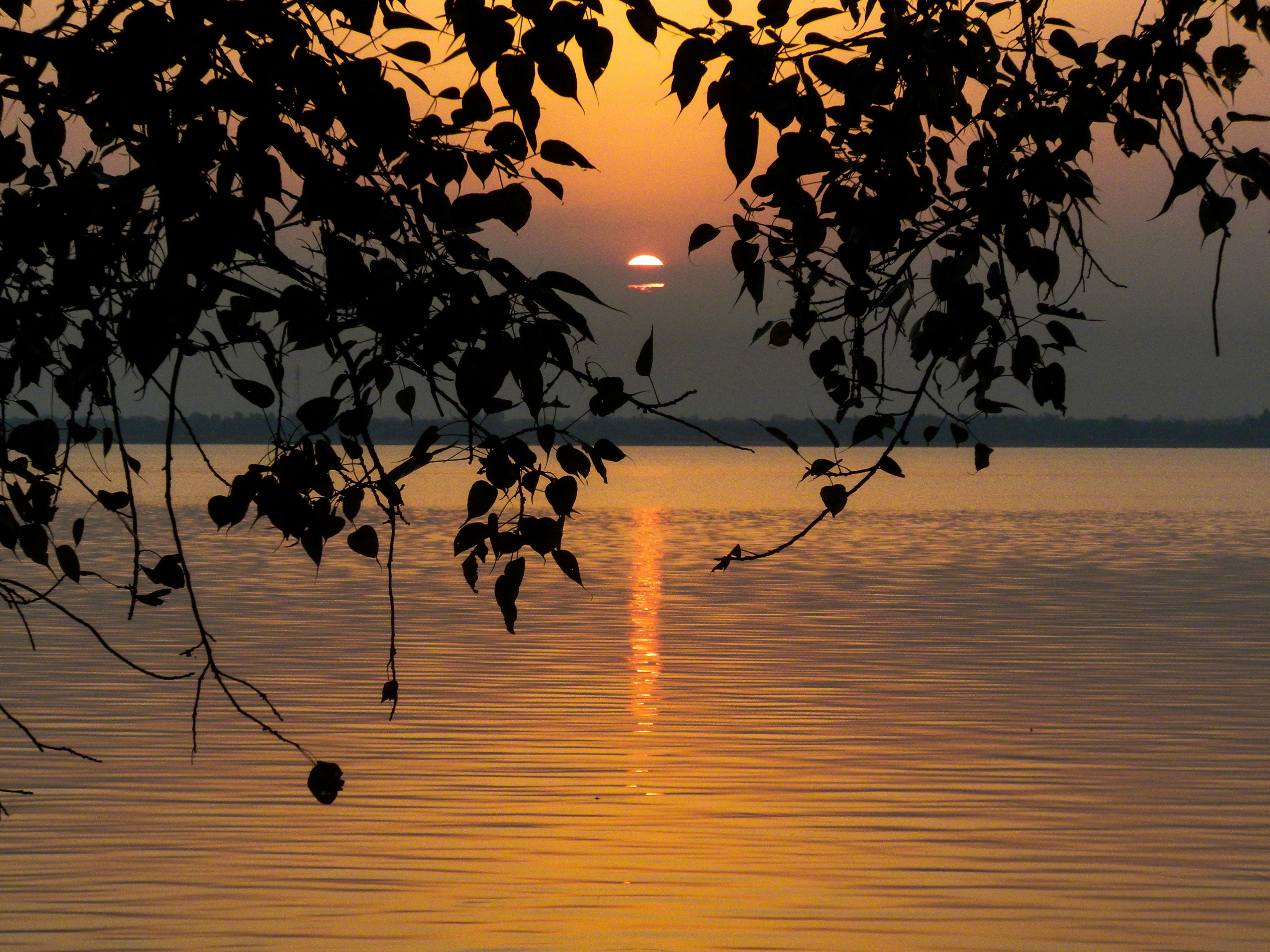 Photo by dev_makwana