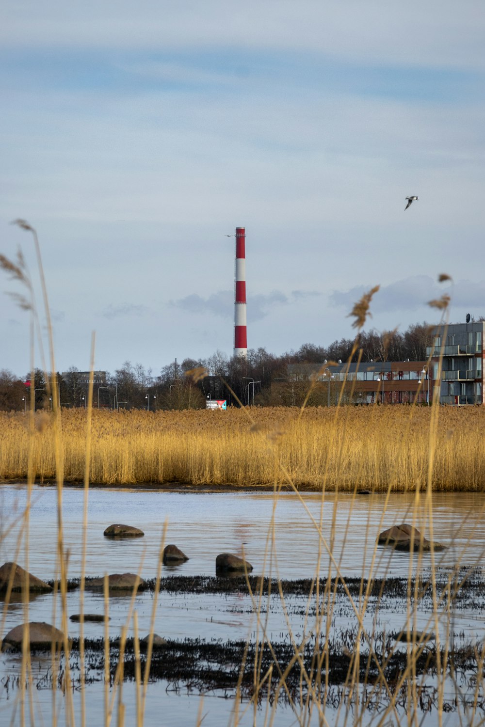 a red and white light house near a body of water