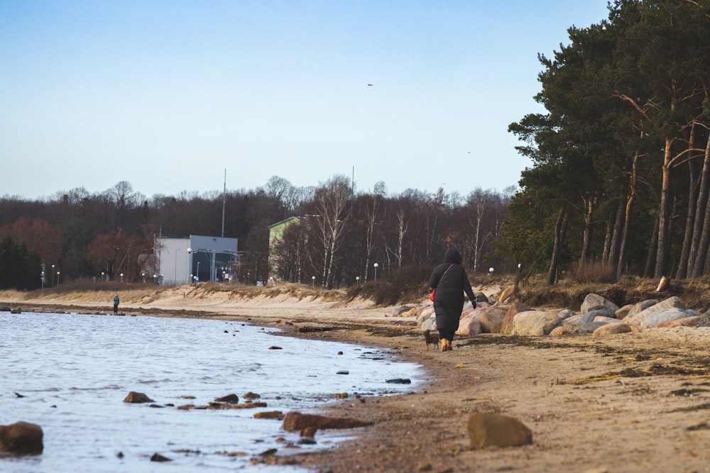 a person walking on a beach next to a body of water