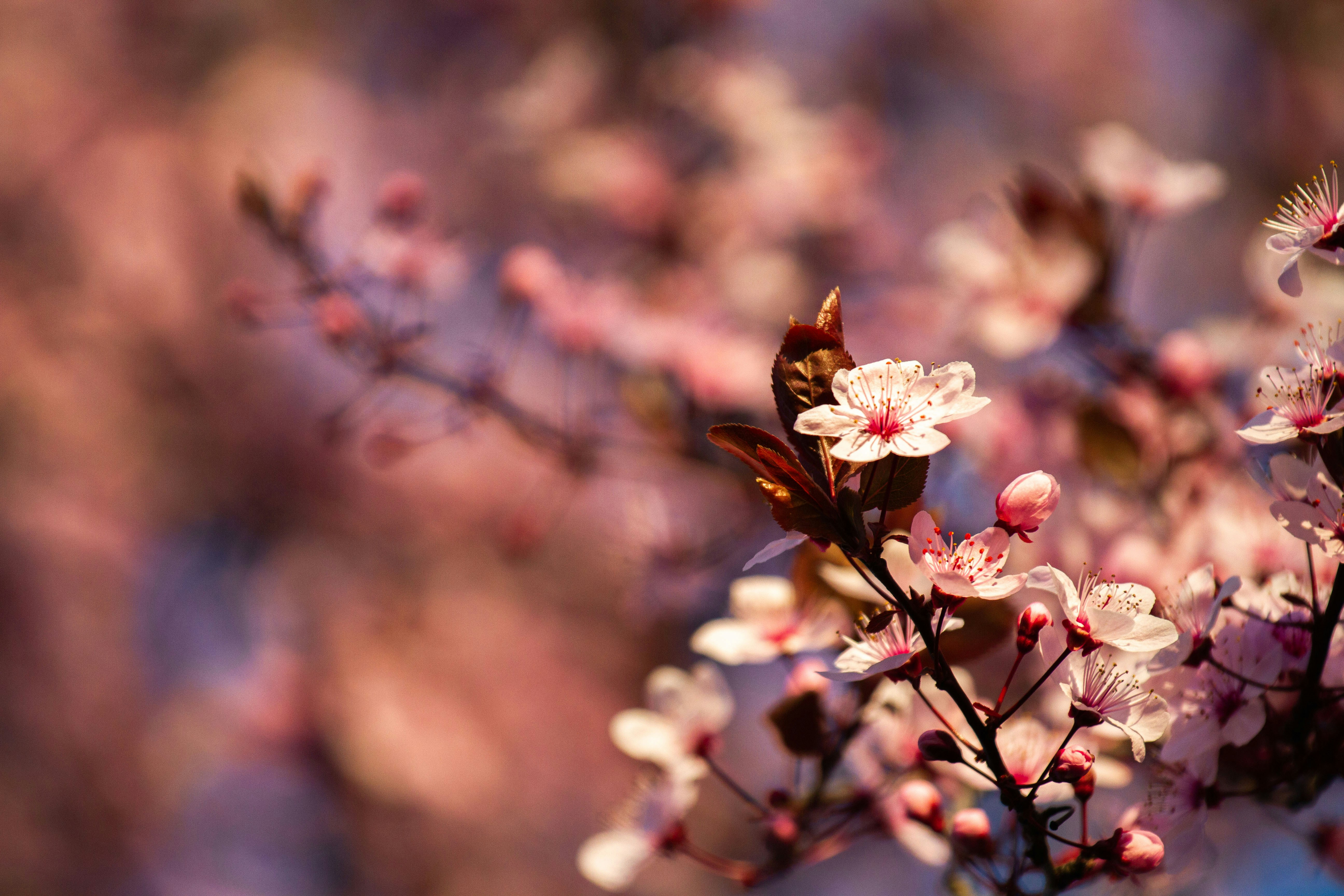 Photo by mattia_poli_04