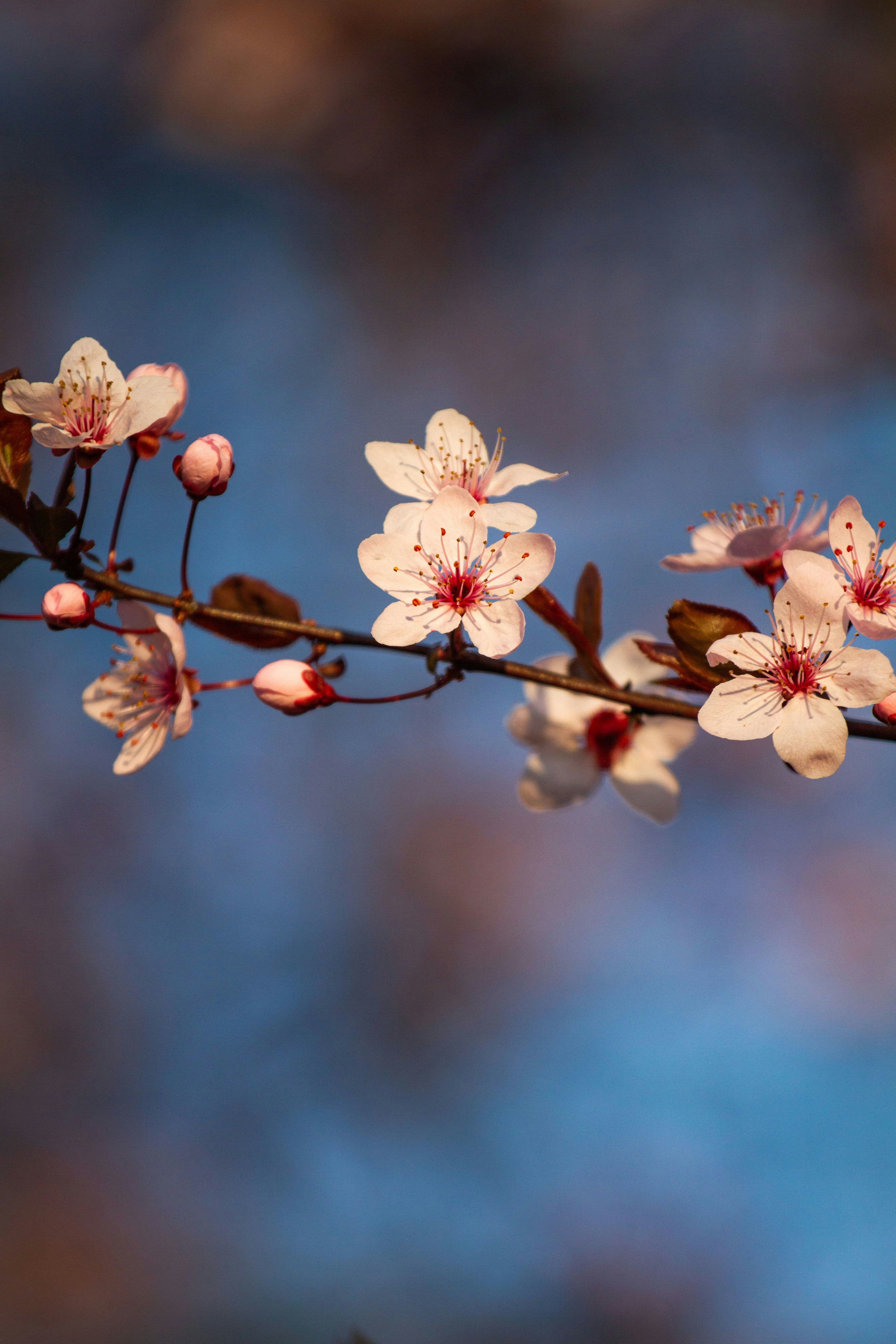 Photo by mattia_poli_04