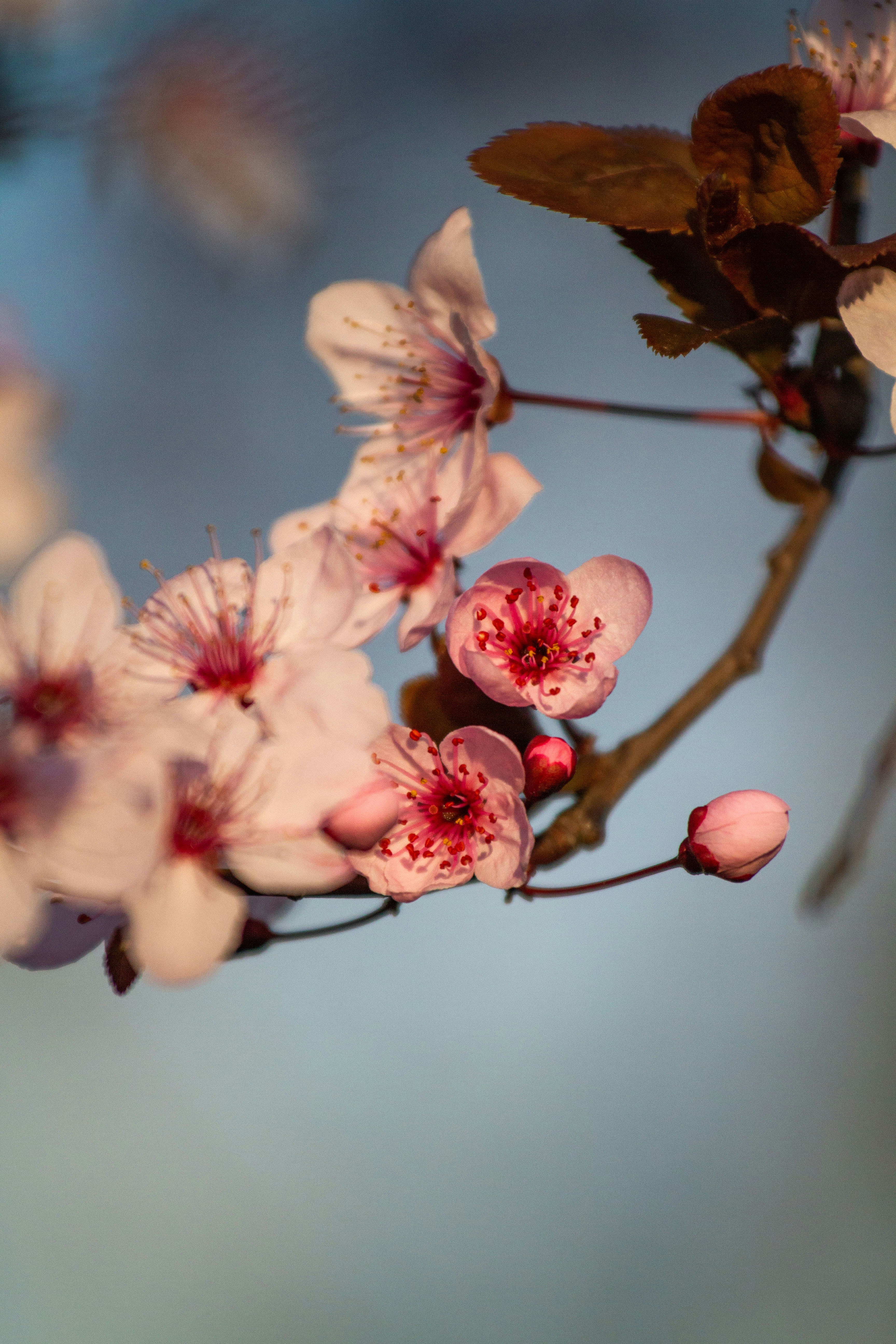 Photo by mattia_poli_04