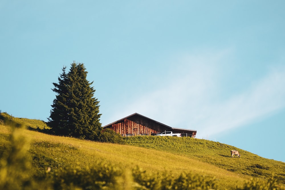 a house on top of a hill with a tree in the foreground