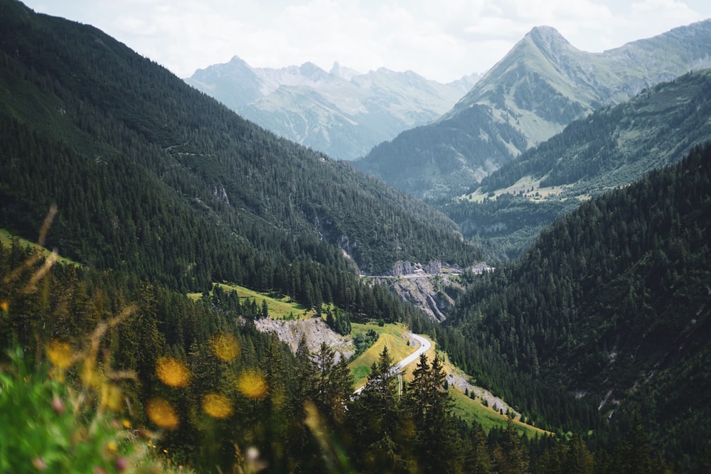 a scenic view of a valley in the mountains