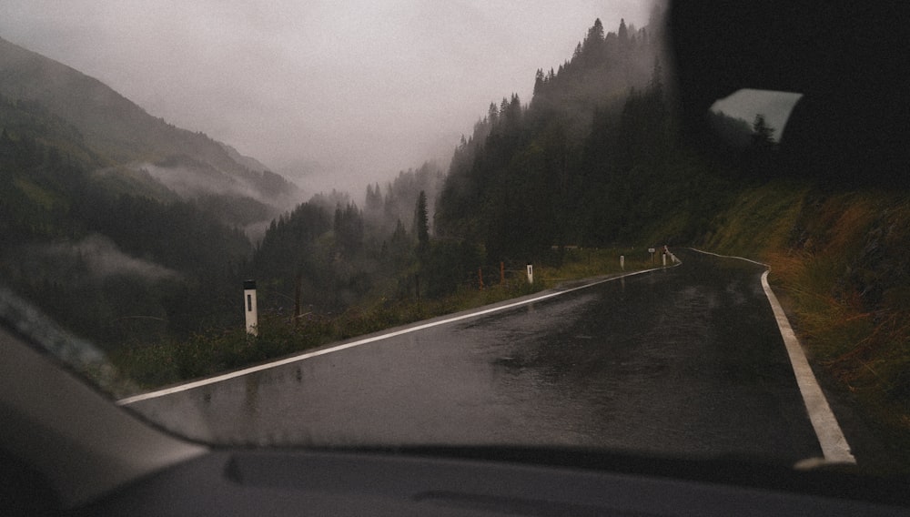 a car driving down a wet road next to a forest