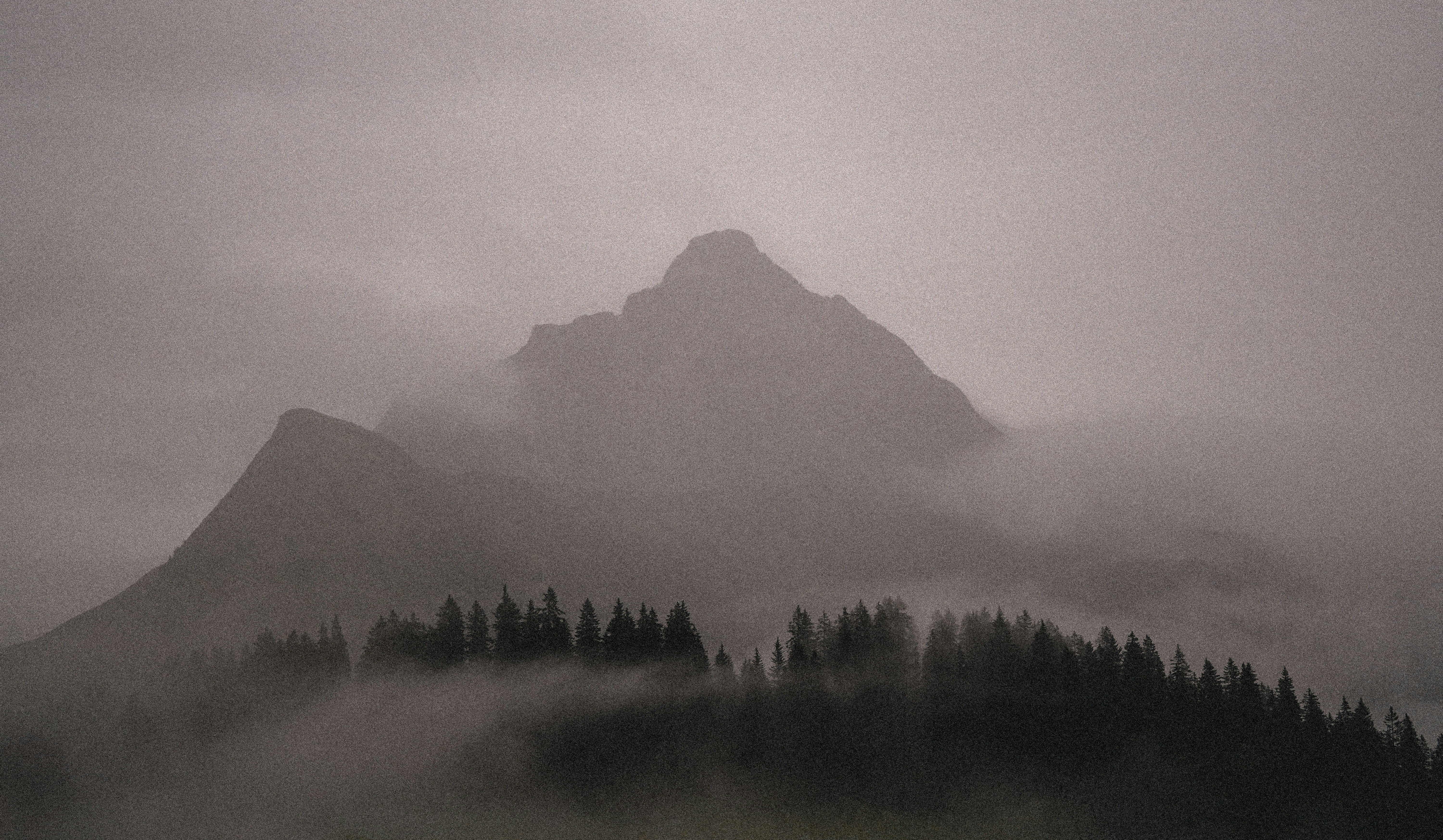 Photo by tinorischawy