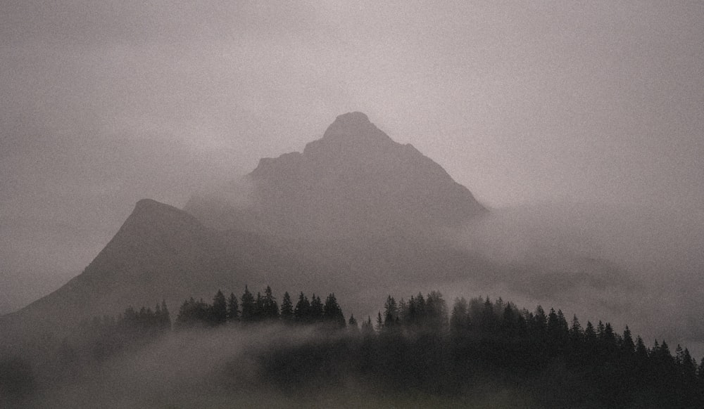 霧に覆われた山の白黒写真