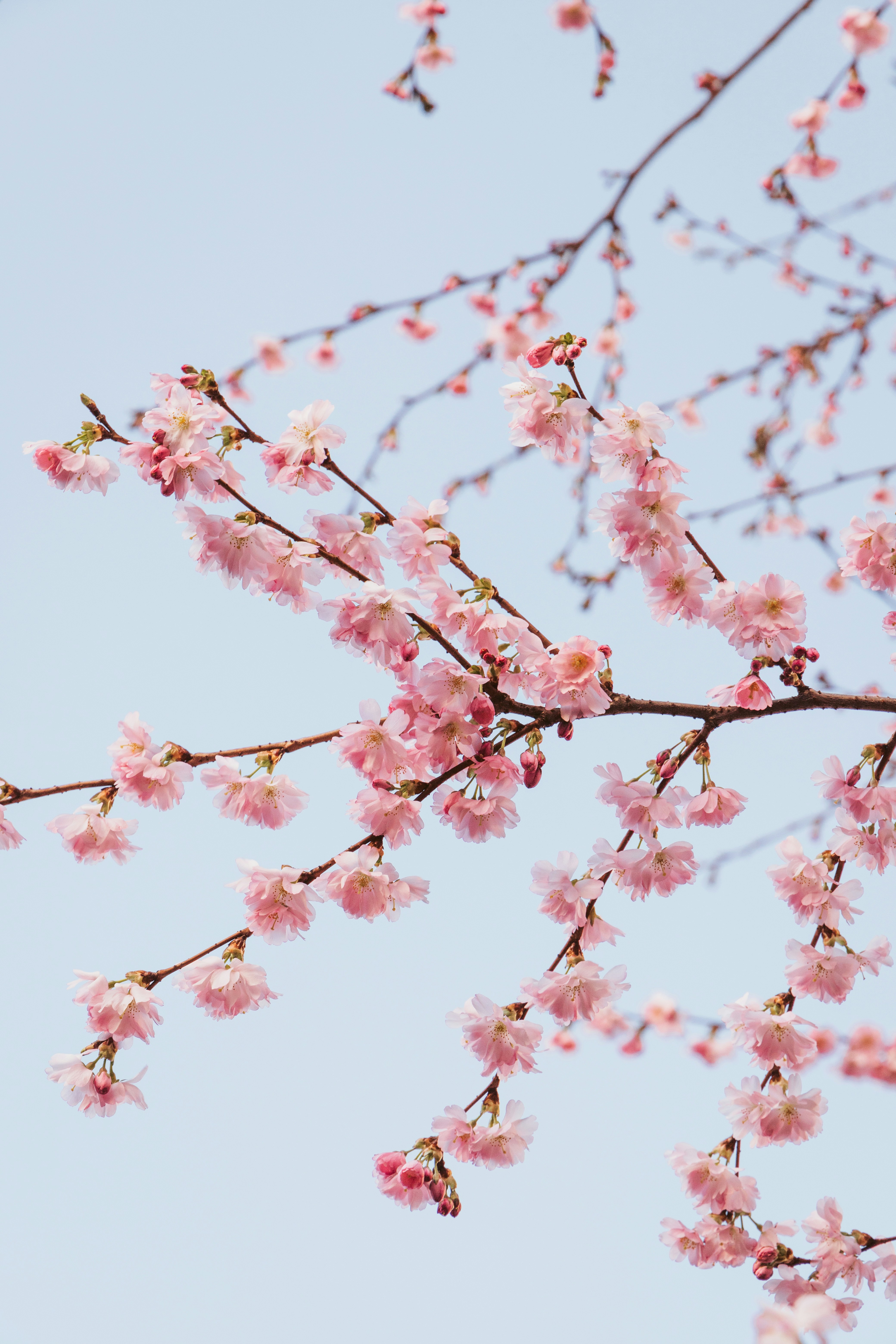 Photo by katharina_bill