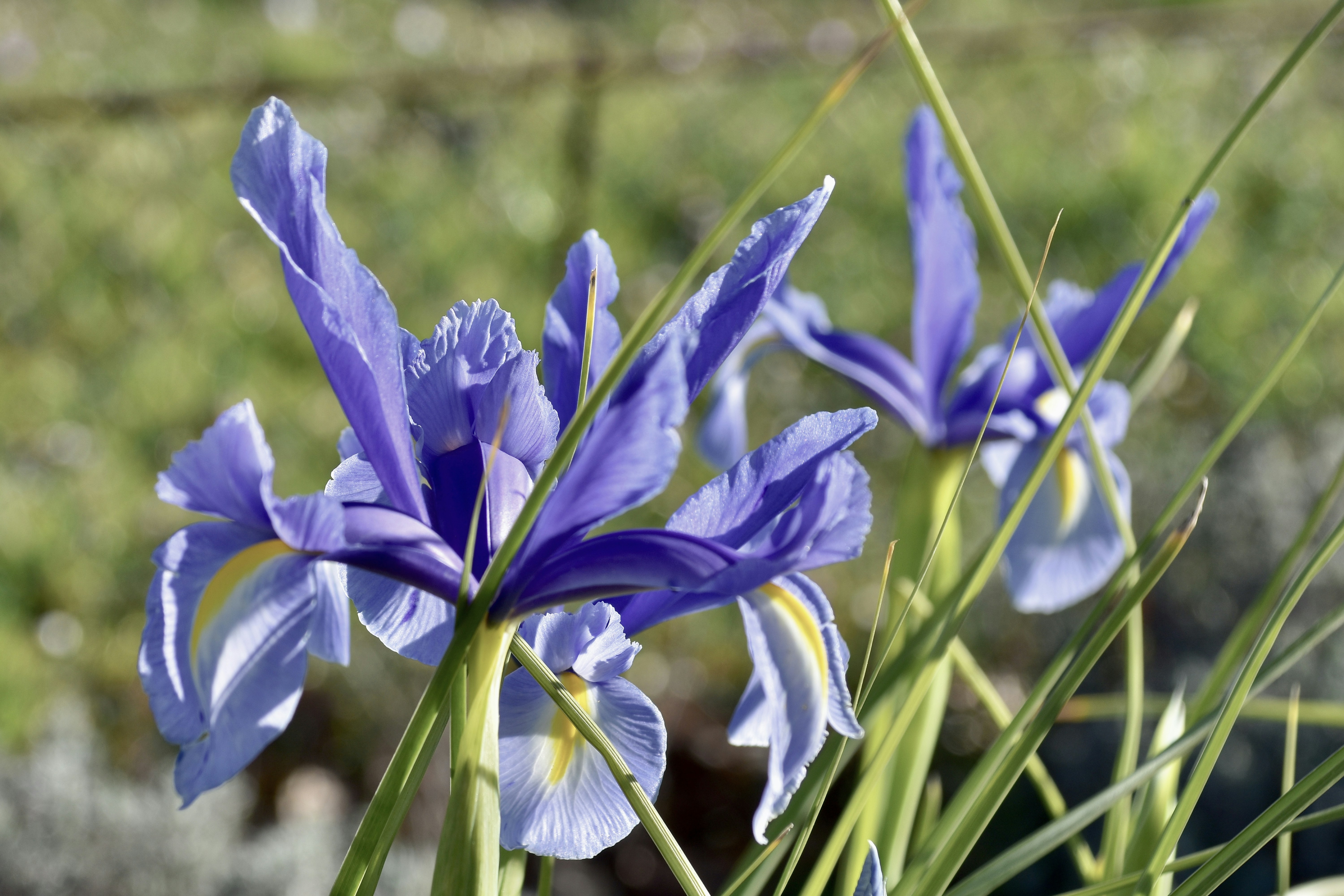 Photo by mariobeducci