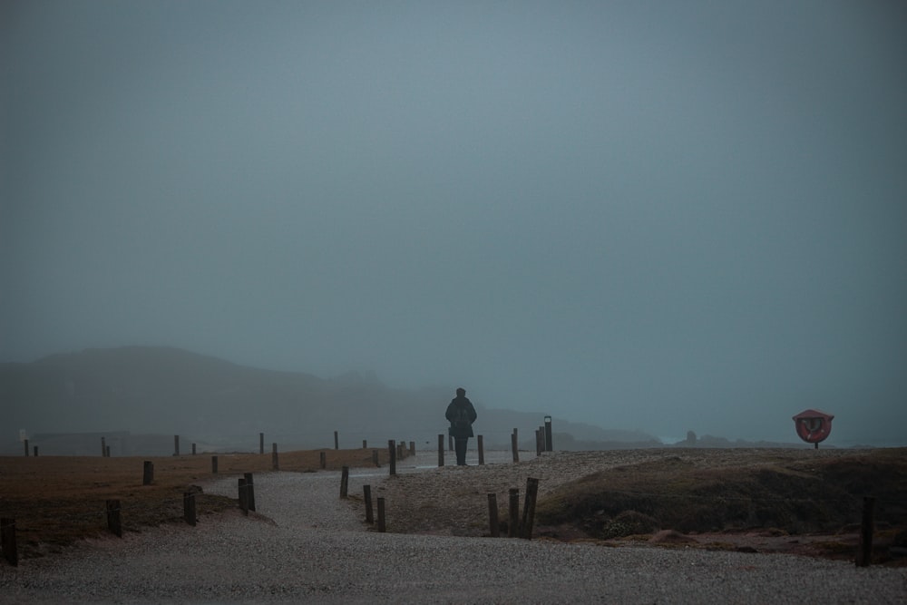 a person standing on a path in the middle of a field