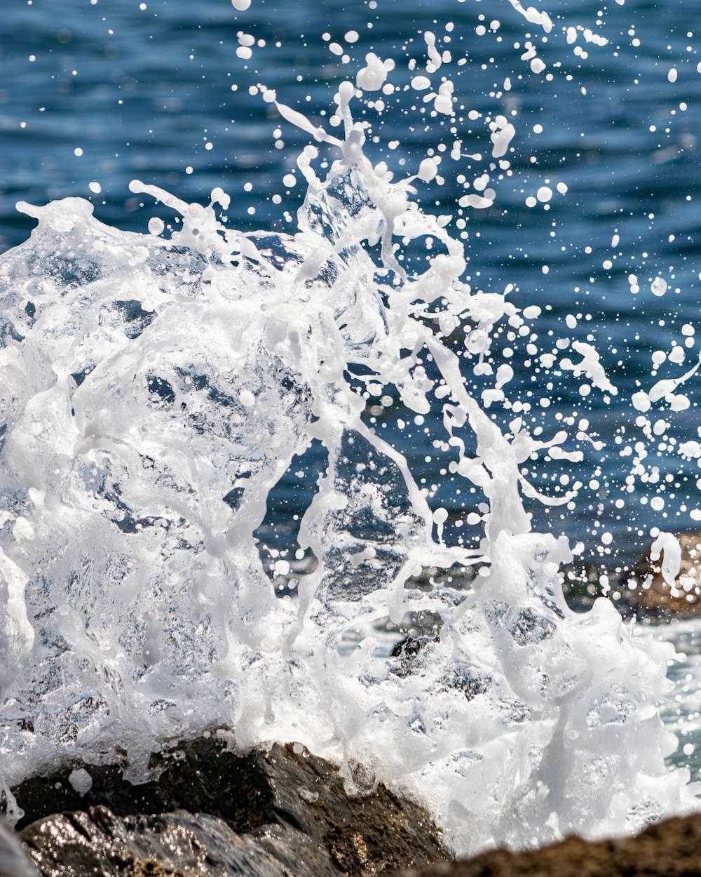 a bird flying over a body of water