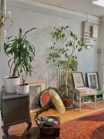 A cozy interior scene featuring a gramophone with a vinyl record on top, positioned on a wooden floor with a colorful rug. To the left, a small table holds two potted plants, and behind the gramophone, framed art pieces are leaning against a wall. On the right, a potted tree stands beside a white and green striped chair, with additional framed artworks on the floor.