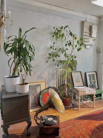 A cozy interior scene featuring a gramophone with a vinyl record on top, positioned on a wooden floor with a colorful rug. To the left, a small table holds two potted plants, and behind the gramophone, framed art pieces are leaning against a wall. On the right, a potted tree stands beside a white and green striped chair, with additional framed artworks on the floor.