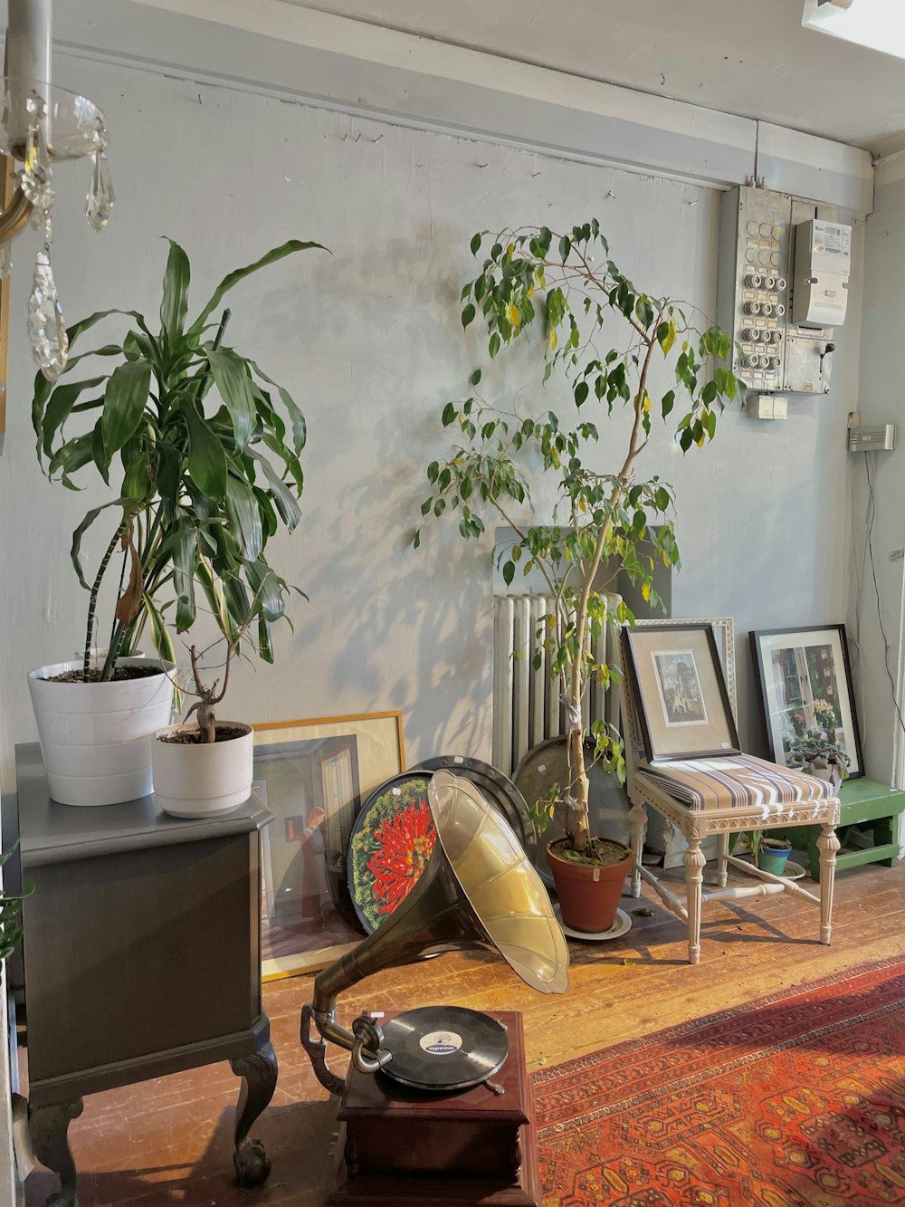 a room filled with lots of plants and furniture