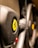 The image focuses on the steering wheel of a luxury sports car, featuring a prominent yellow emblem with a black prancing horse. The leather texture and sleek design elements suggest high-quality craftsmanship.
