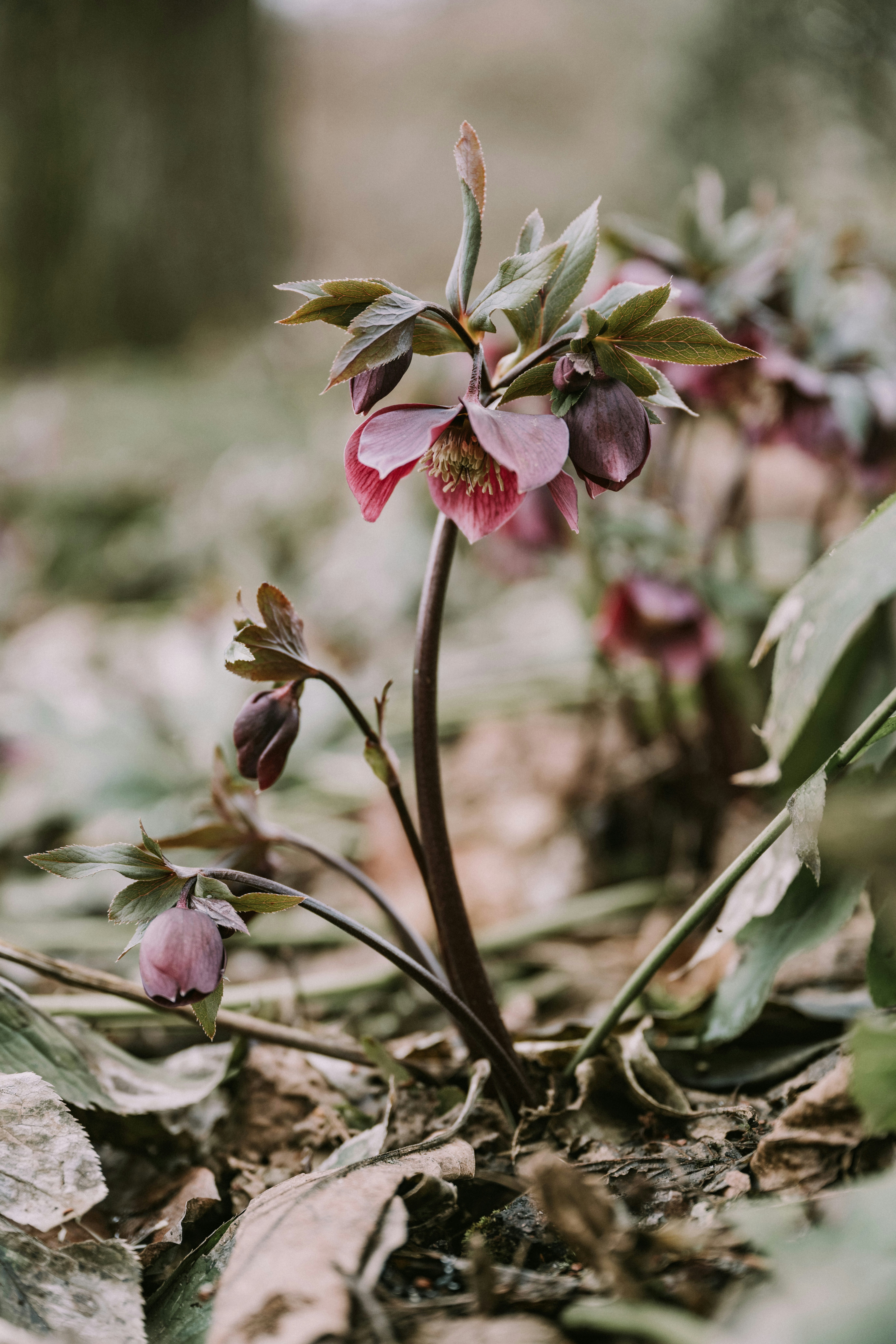 Photo by anitaaustvika