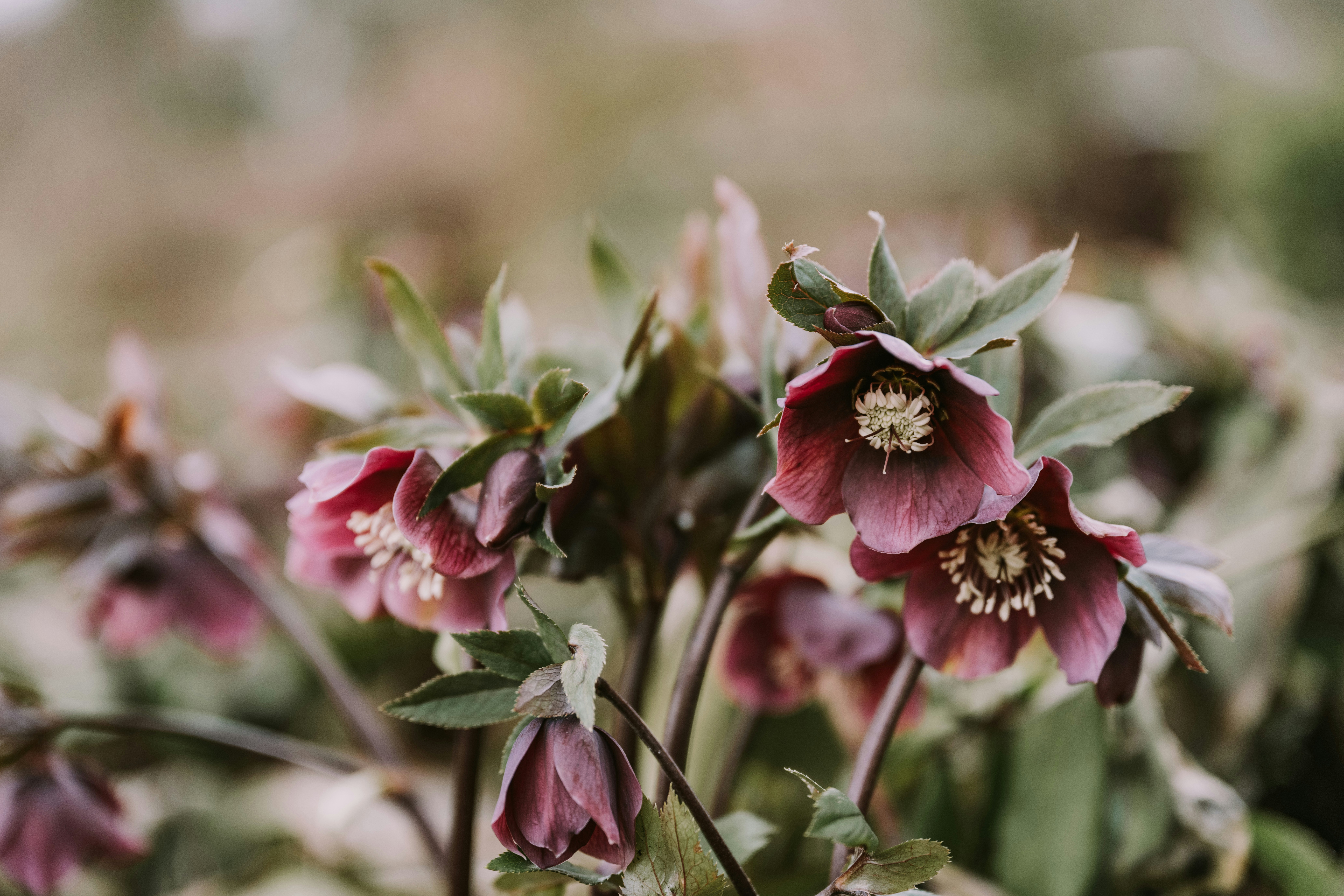 Photo by anitaaustvika