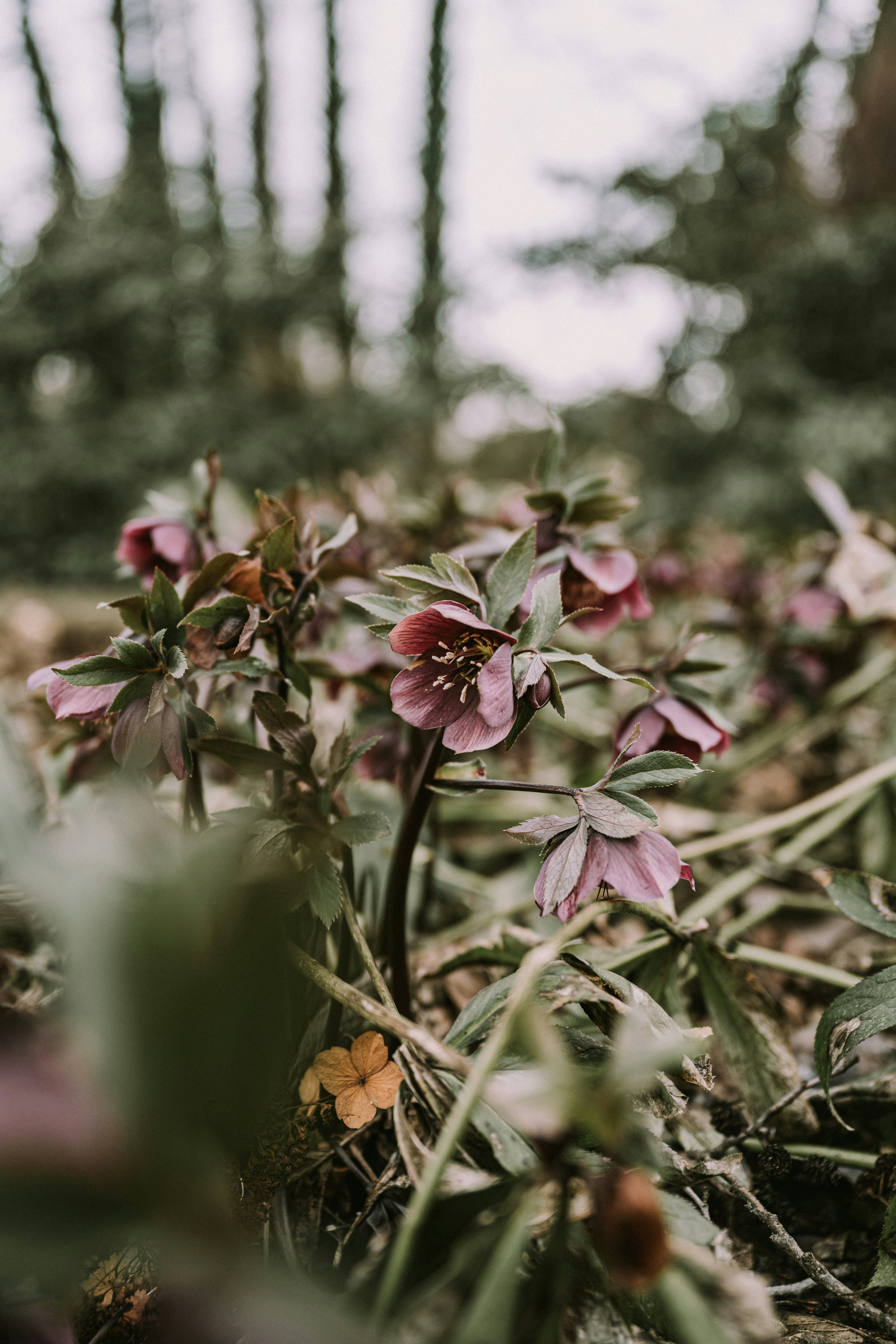 Photo by anitaaustvika