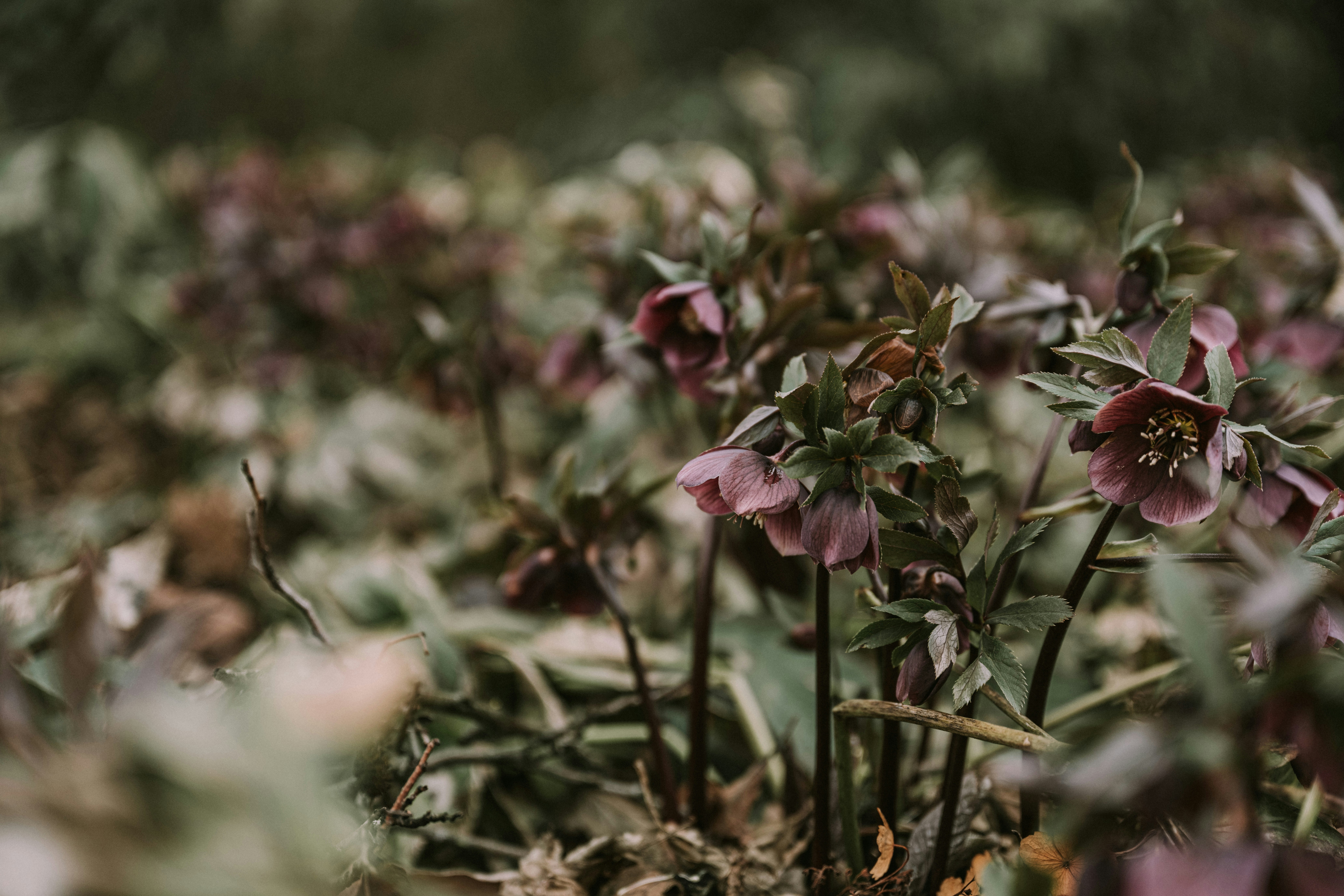 Photo by anitaaustvika