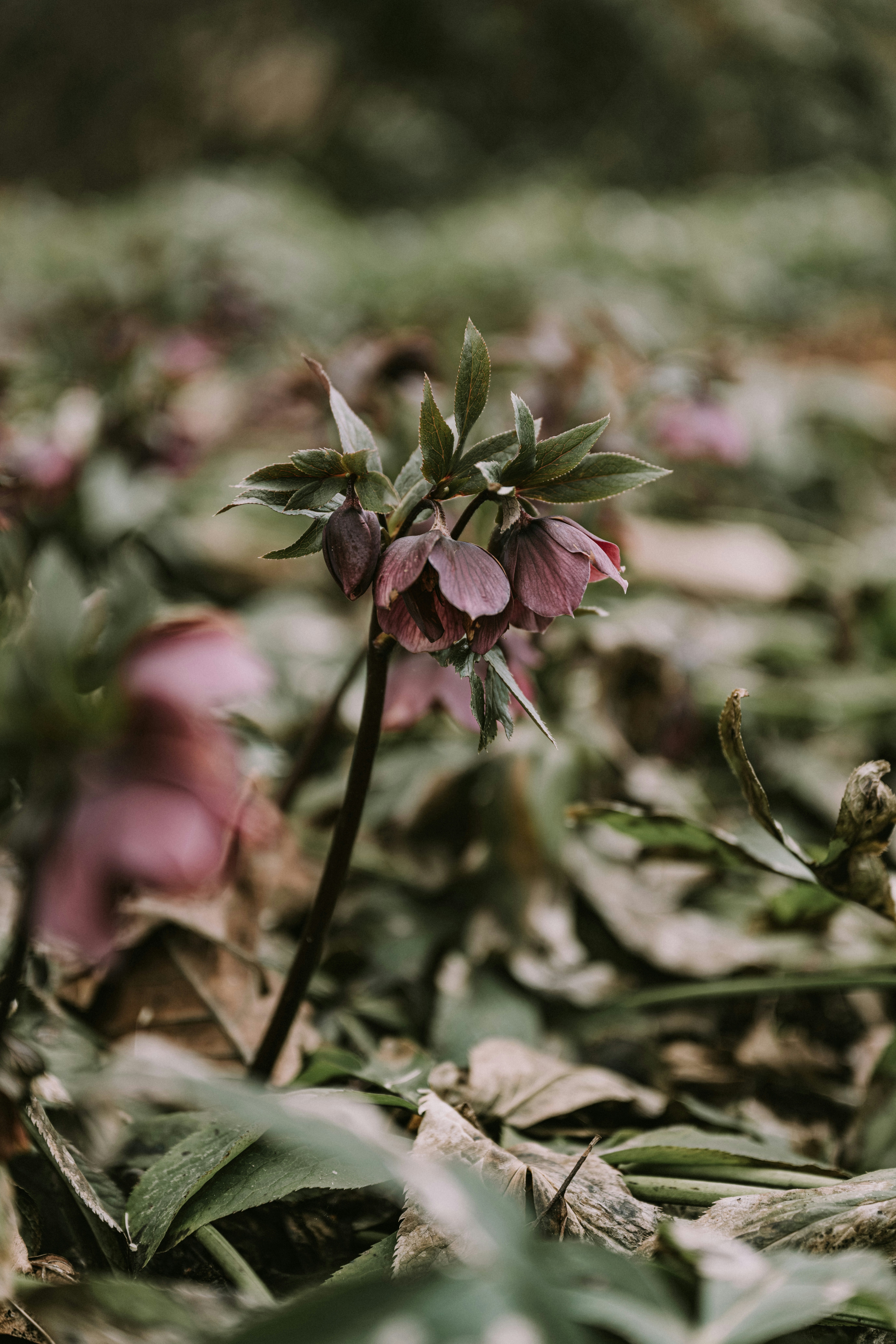 Photo by anitaaustvika