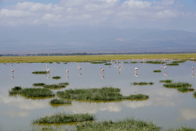 3-Day Family Itinerary for Nakuru, Kenya