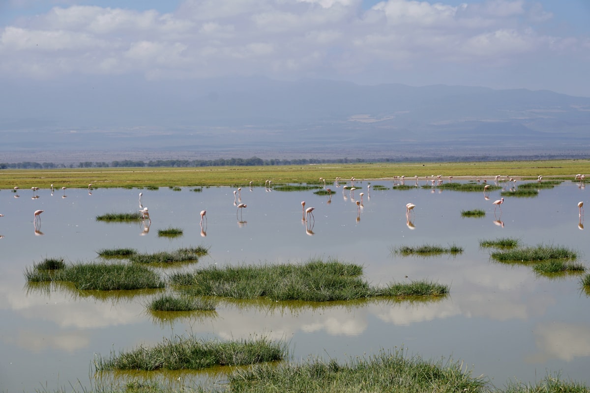 Lake Nakuru National Park
