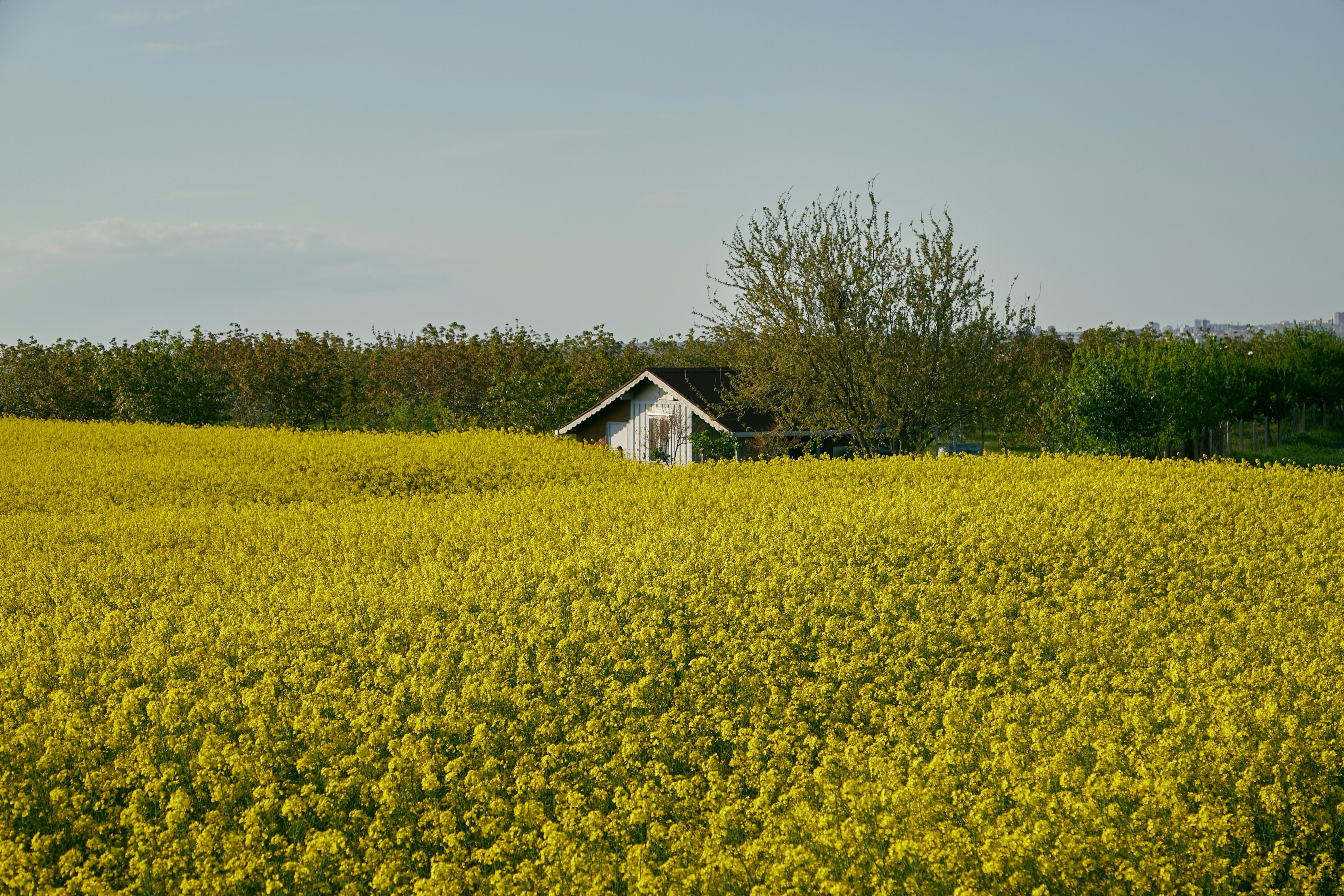 Photo by tunagraphy