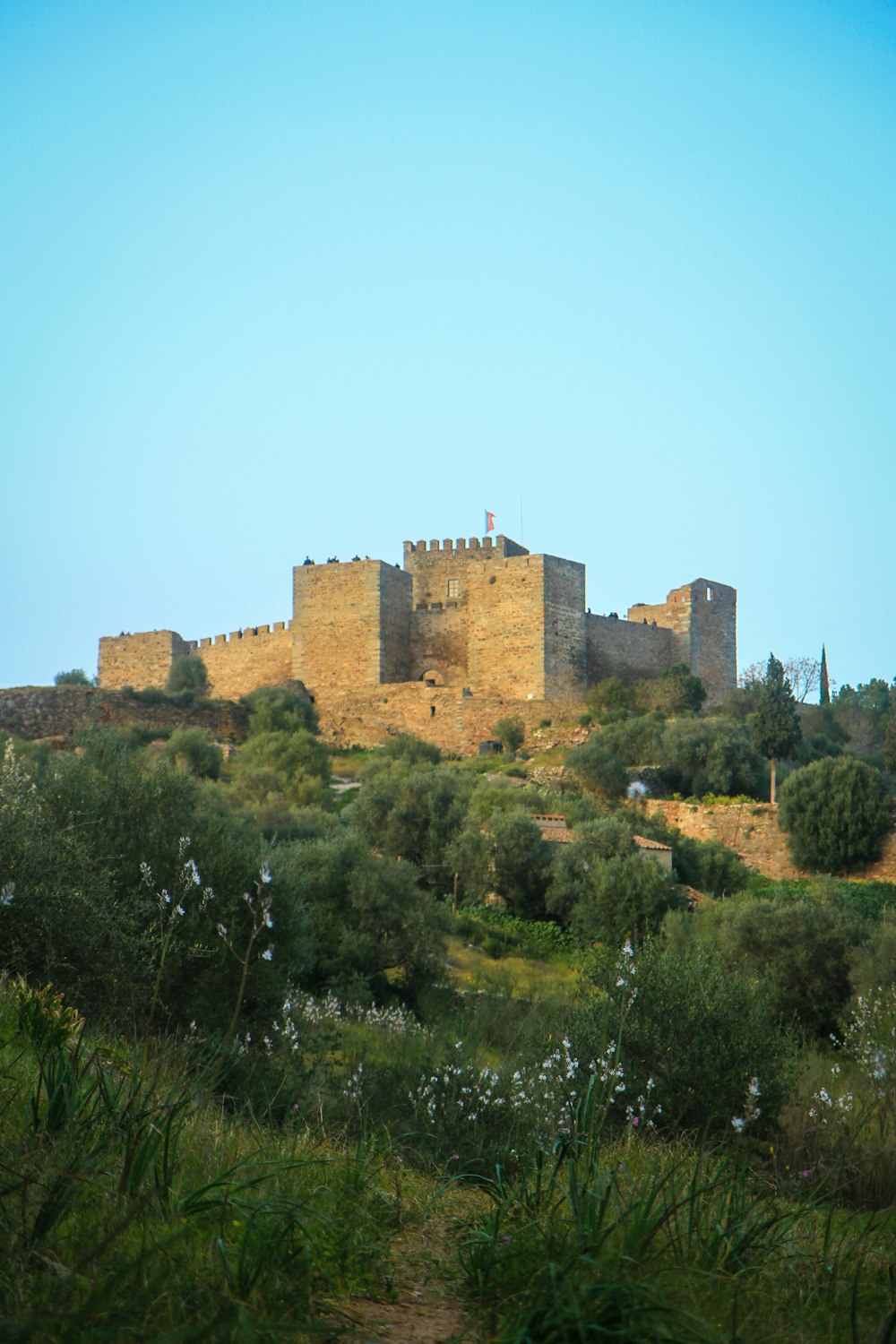 a castle on top of a hill surrounded by trees