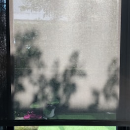A window with a translucent shade partially open, revealing shadows of tree branches and leaves. On the windowsill, there is a pot of green leafy plants and two small pink flamingo decorations. The light creates a soft, diffused effect on the shade, enhancing the silhouette of the foliage.
