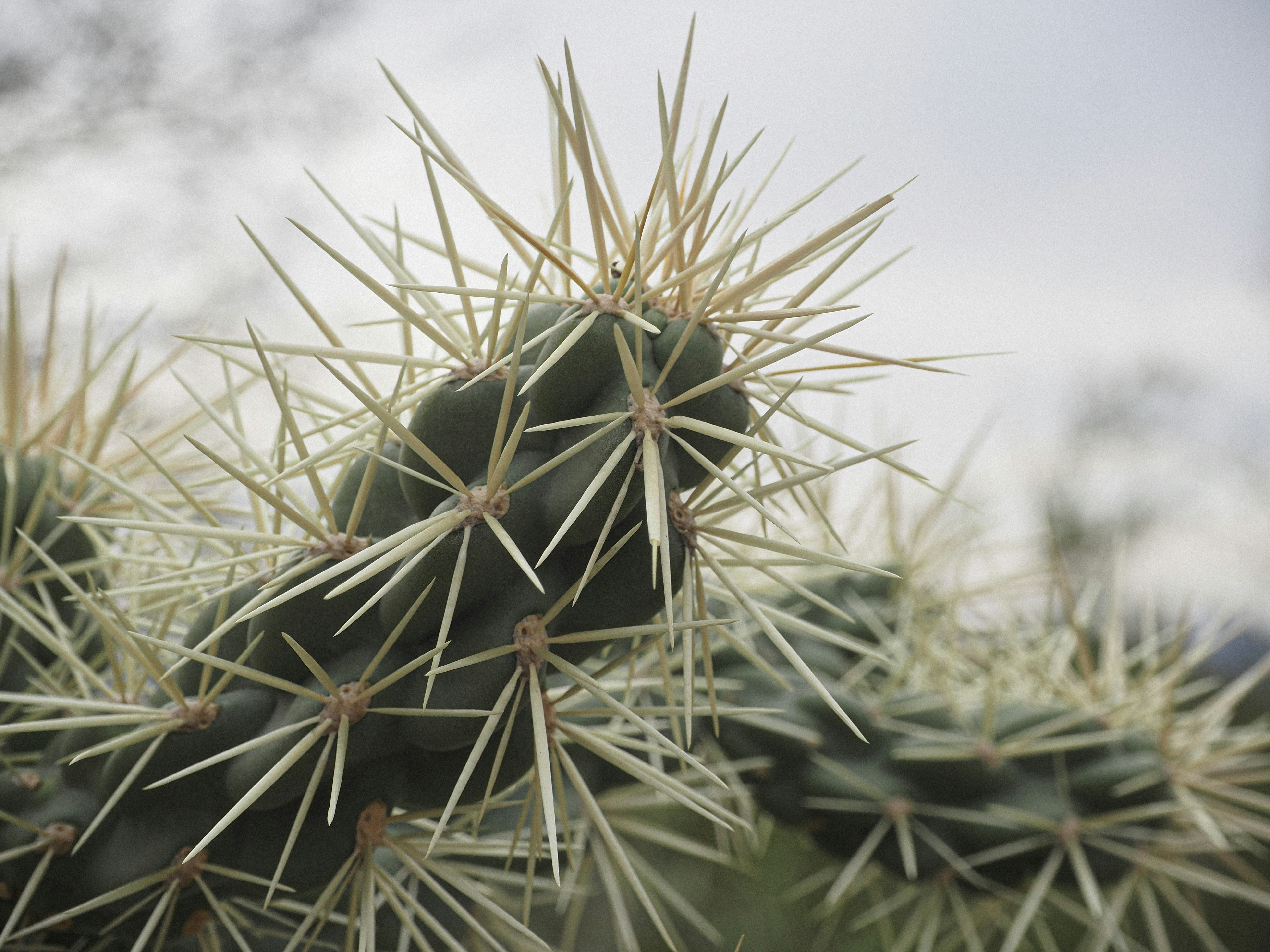 Photo by norah_grace7