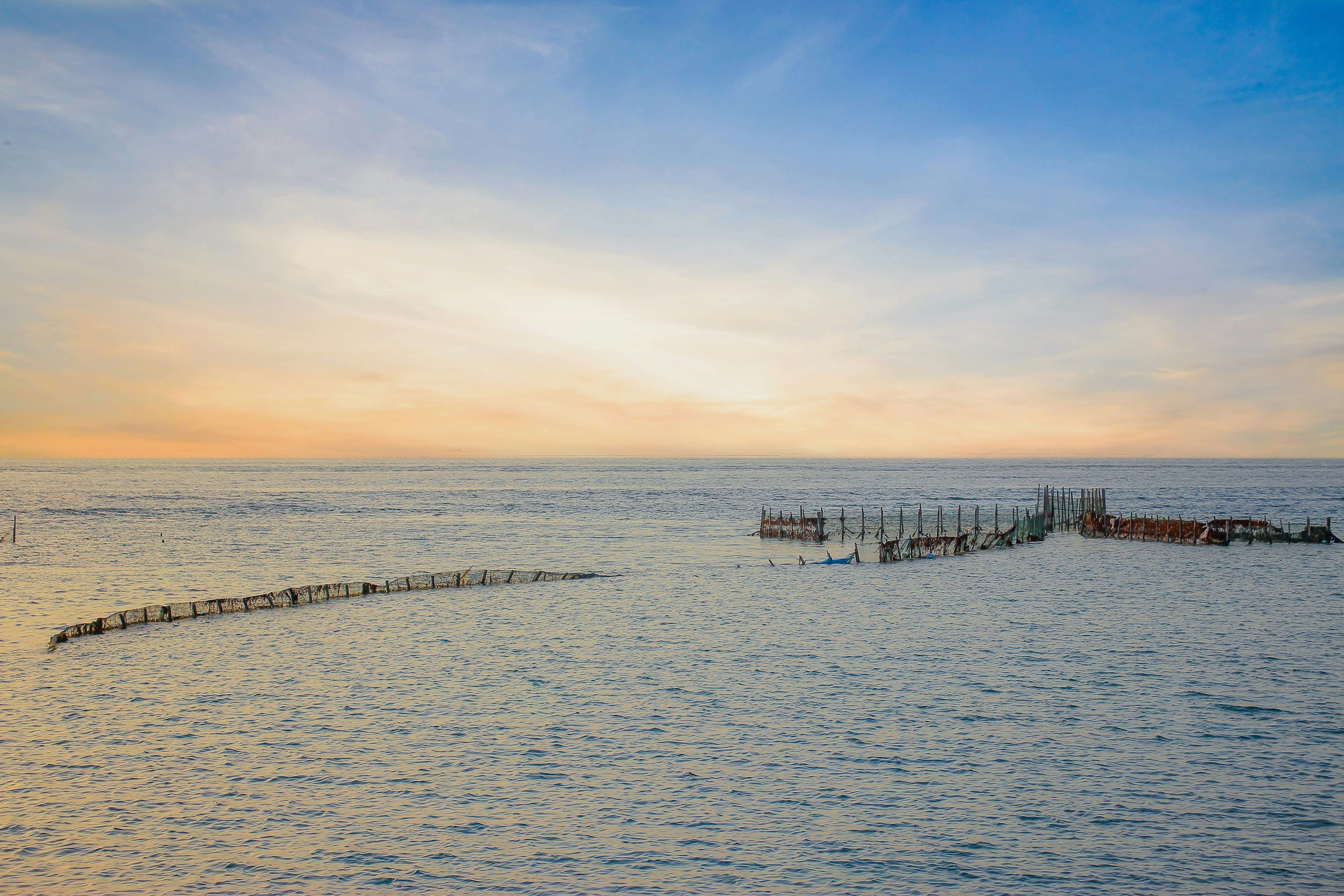 ein großes Gewässer mit einer langen Reihe von Baumstämmen in der Mitte