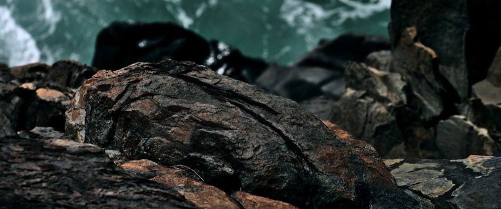 a close up of rocks near a body of water