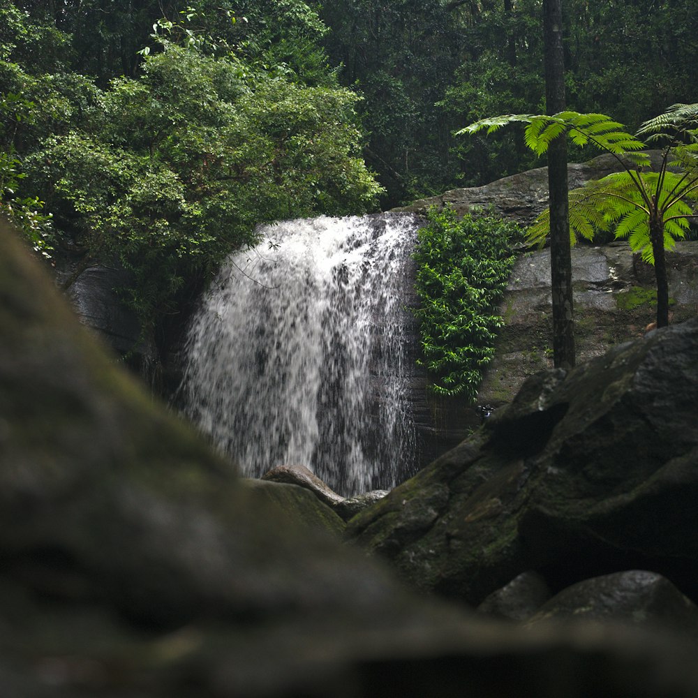 a large waterfall in the middle of a forest