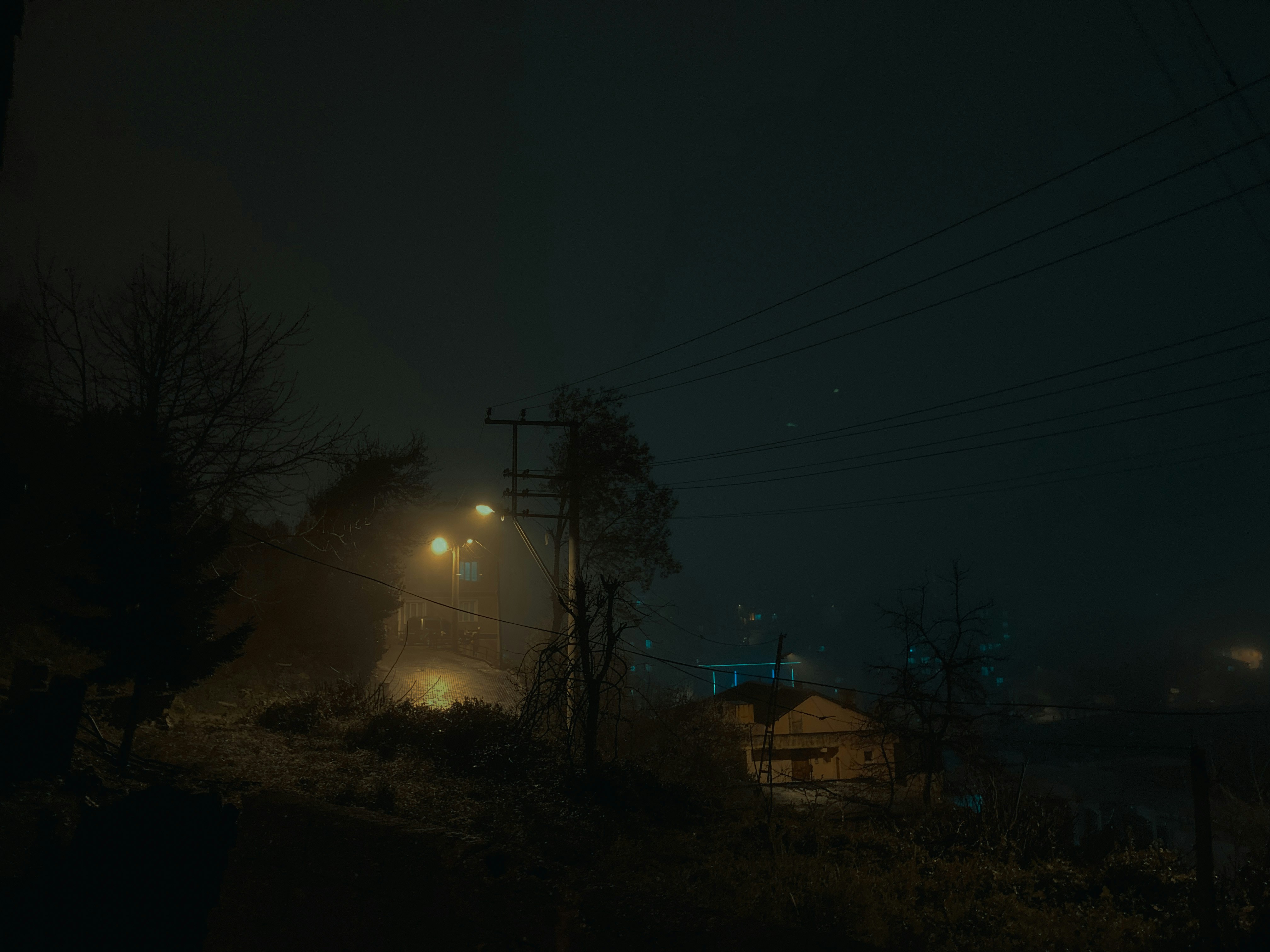 Rural countryside at night, dark fields, dim village lights in distance, atmospheric moody environment, deep shadows