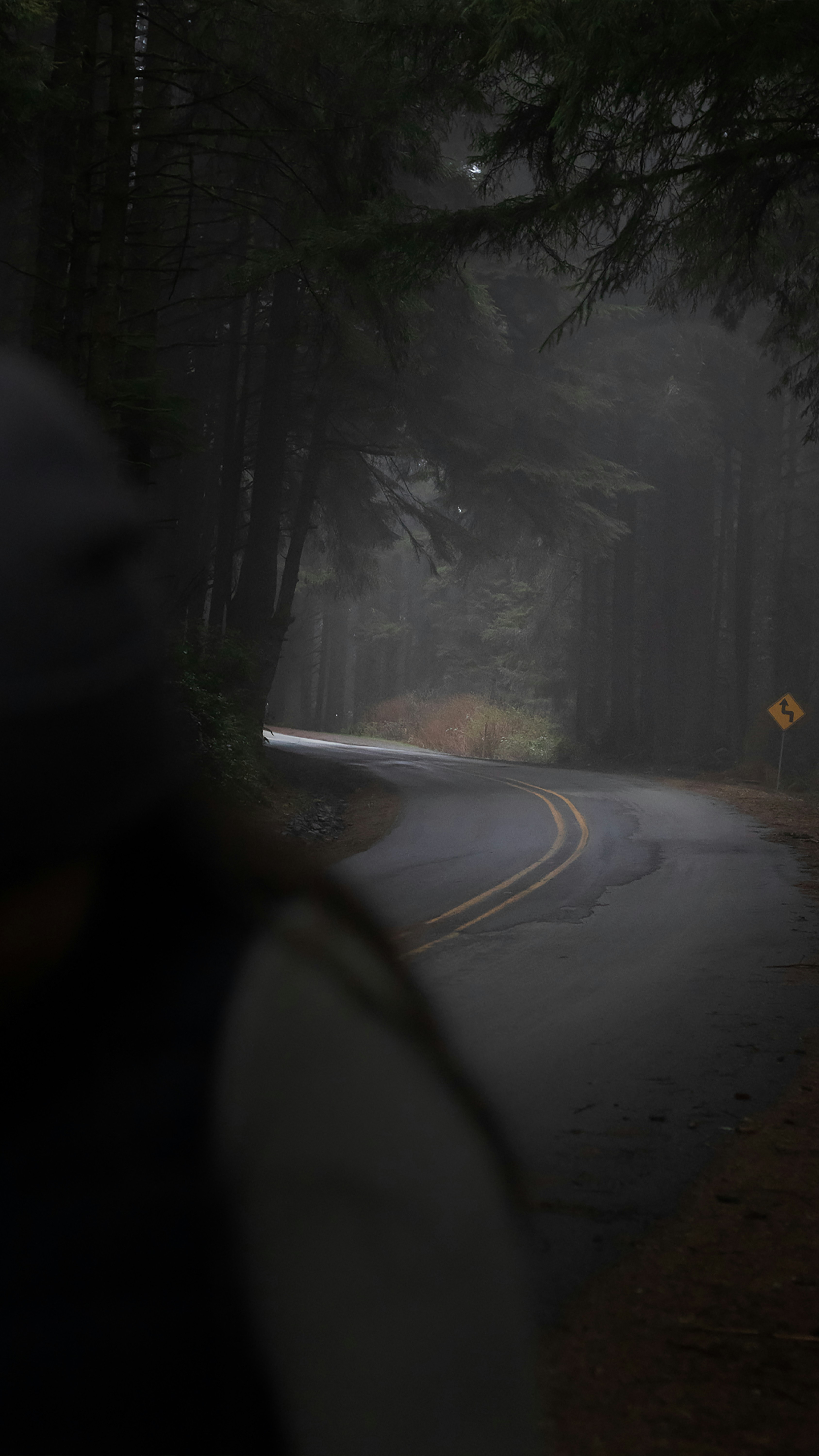 Photo by jhardman704