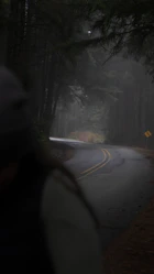A winding road signpost leading into a mysterious foggy forest.