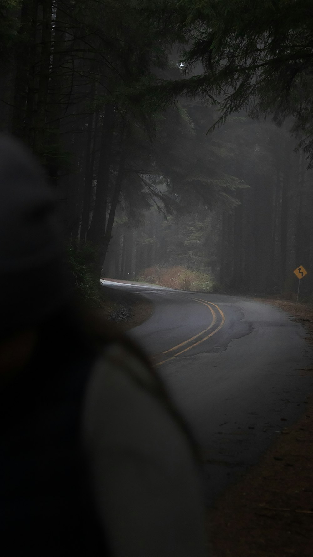 a person standing on the side of a road in the fog