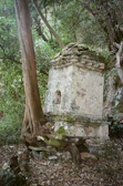 Restored stone foundation of a 19th-century homestead nestled among live oaks.