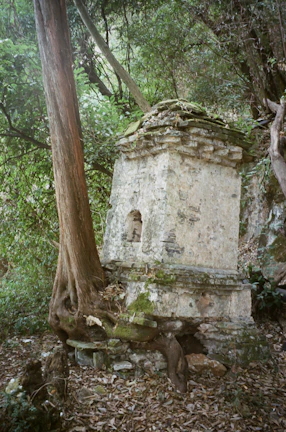 Restored stone foundation of a 19th-century homestead nestled among live oaks.