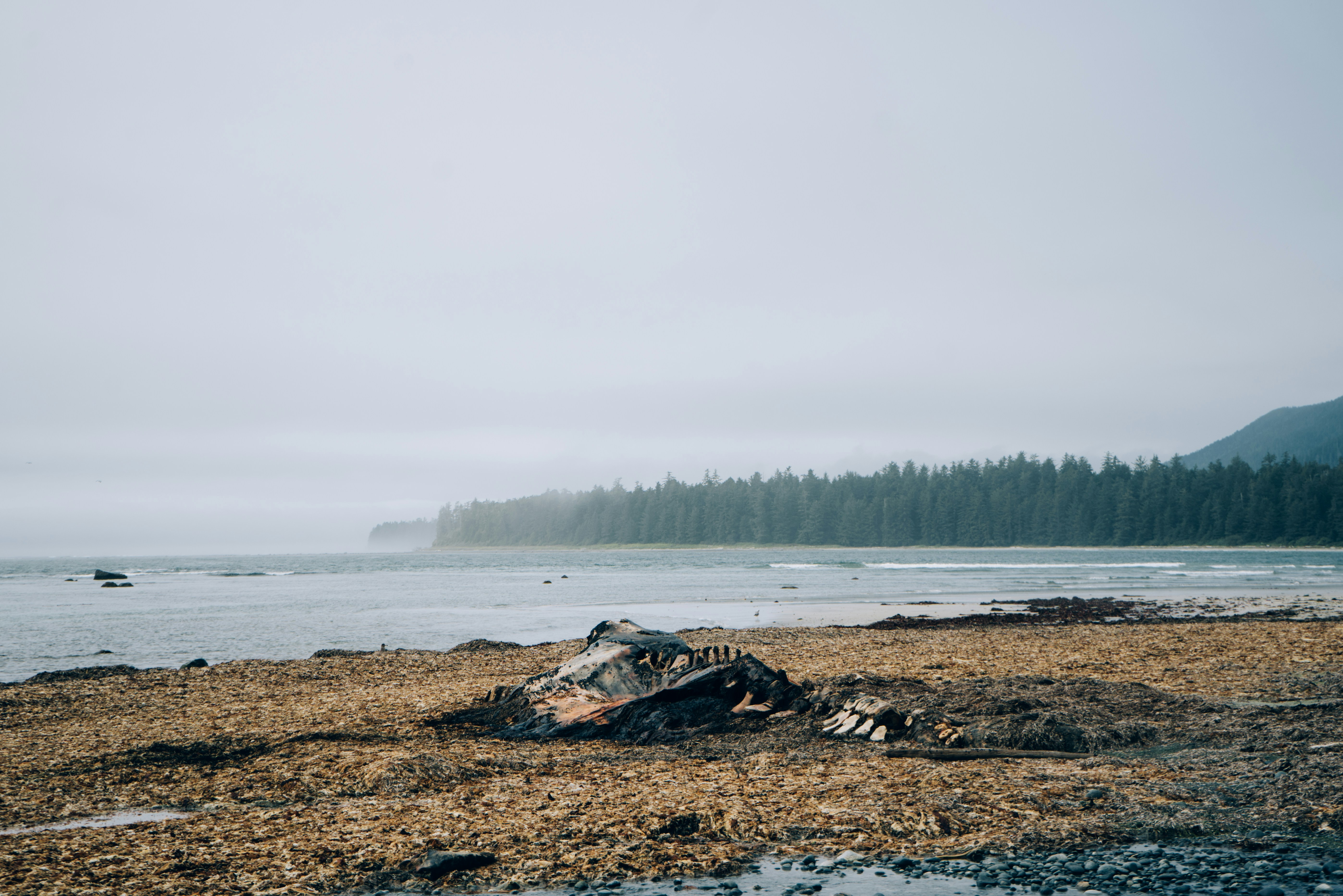 Photo by steloutside