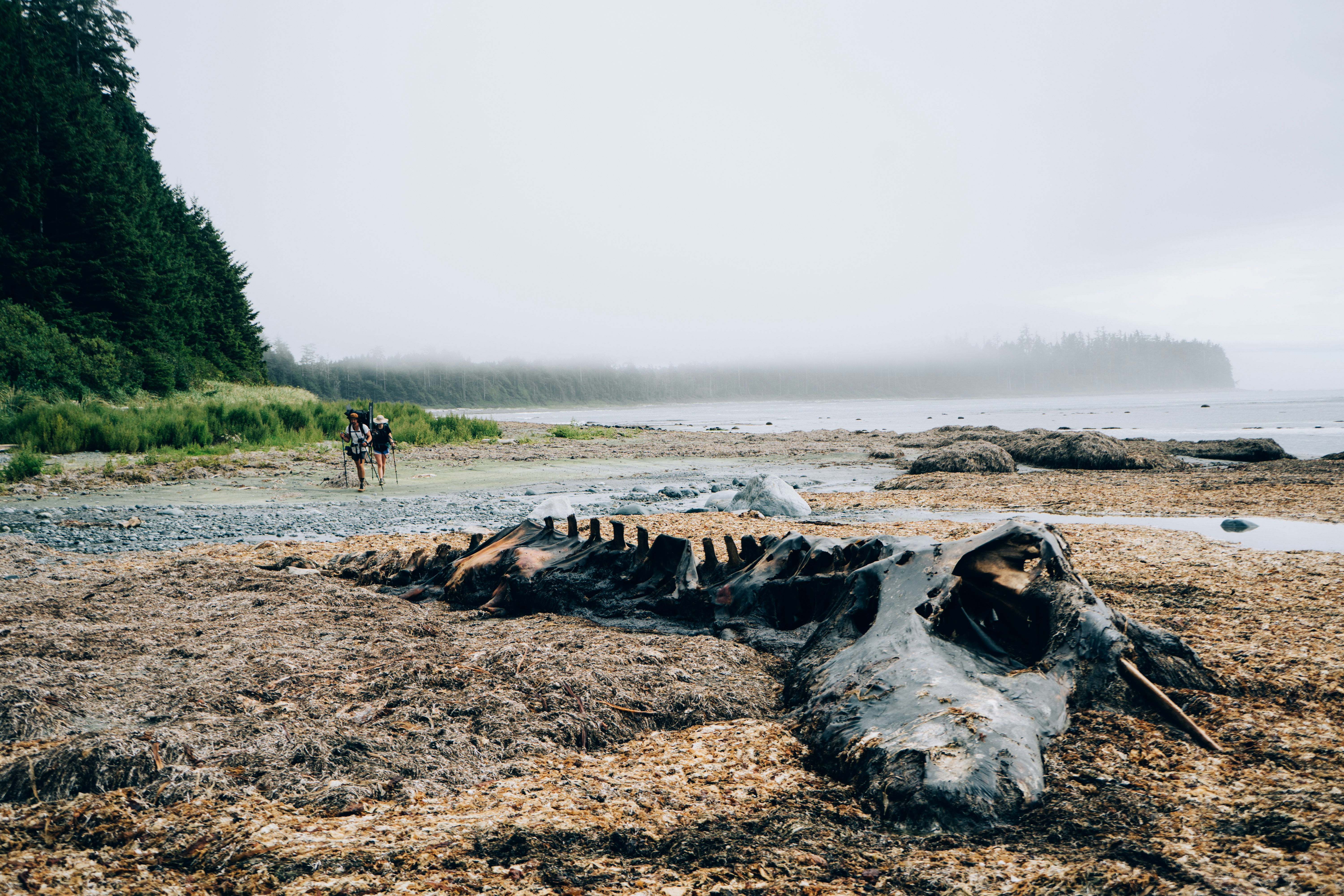 Photo by steloutside