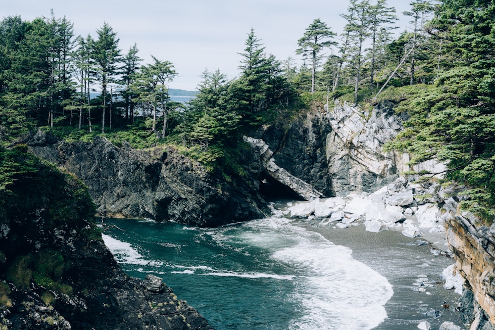 a body of water surrounded by trees and rocks